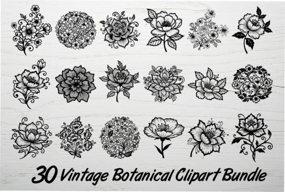 Download 30 Vintage Botanical Clipart Bundle - Vintage Collection
