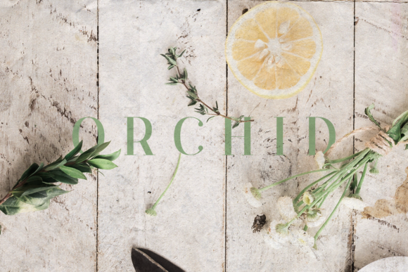 Download Orchid - Premium Resources