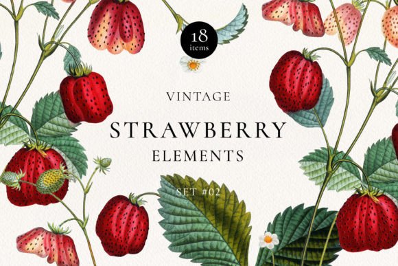 Download Vintage Strawberry Plant DIY Elements - Vintage Collection